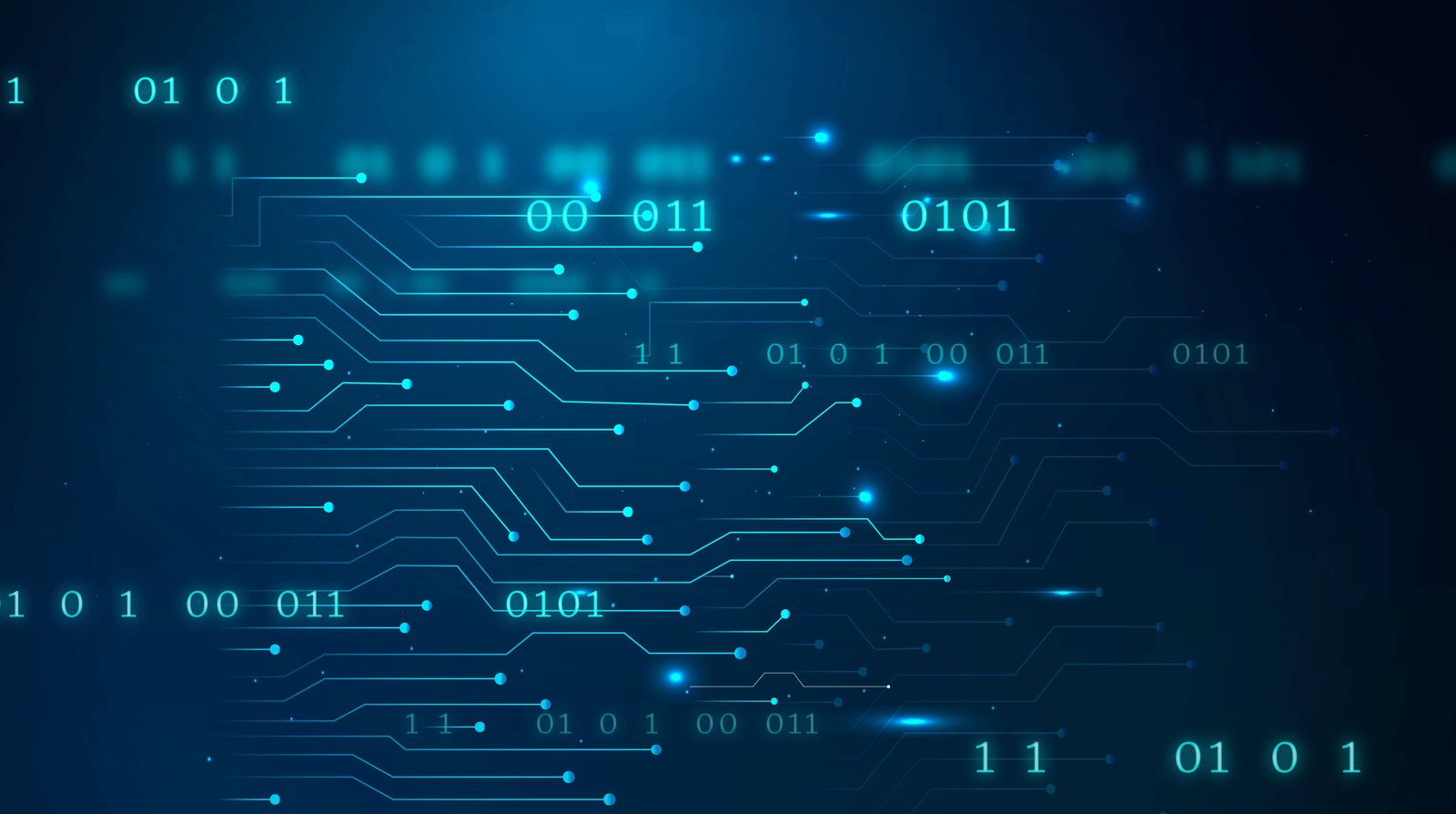 Languages Proficiency